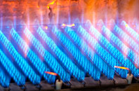 Branxholme gas fired boilers